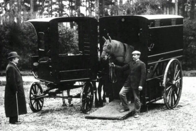 De geschiedenis van het Paardentransport ...