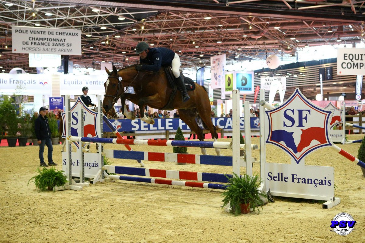 Eyton de Liam wint Selle Francais-kampioenschap driejarige paarden
