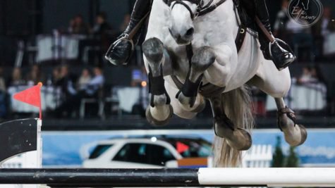 Nederlandse paarden blijven scoren in Las Vegas
