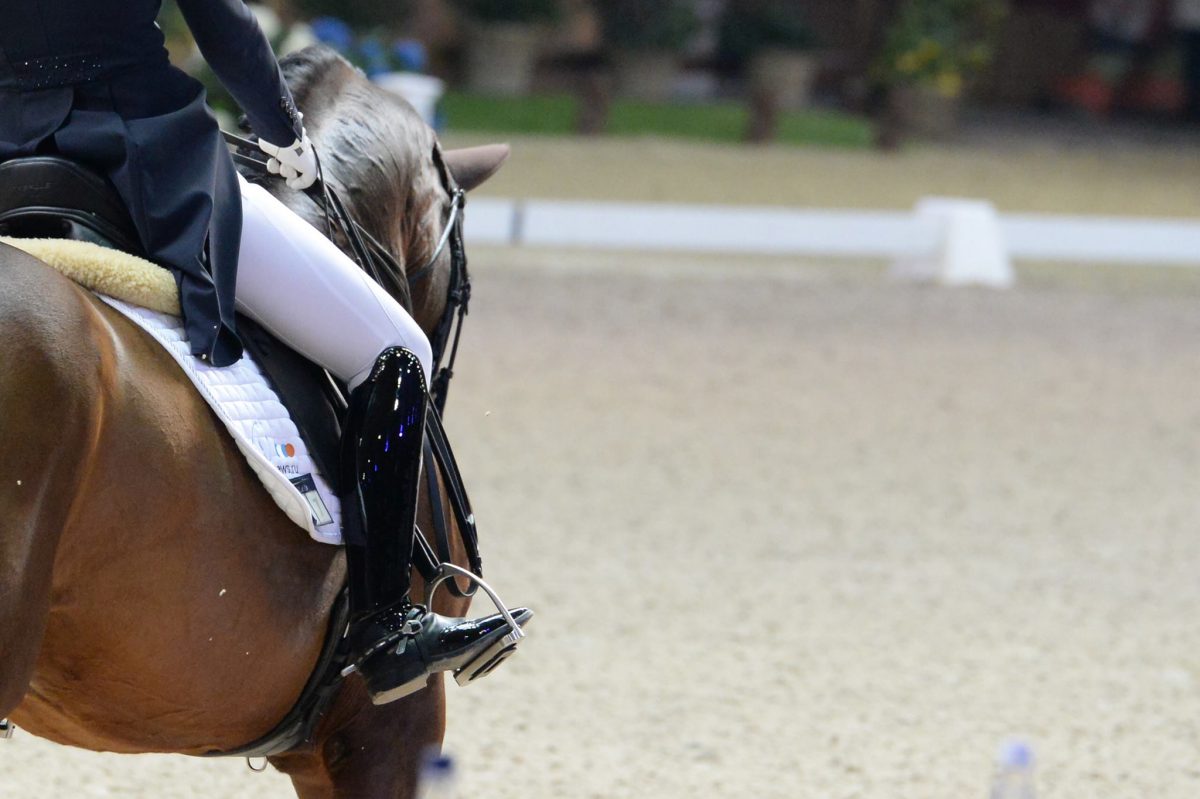 Laatste dag dressuurkampioenschappen in het teken van de ponysport en B paarden