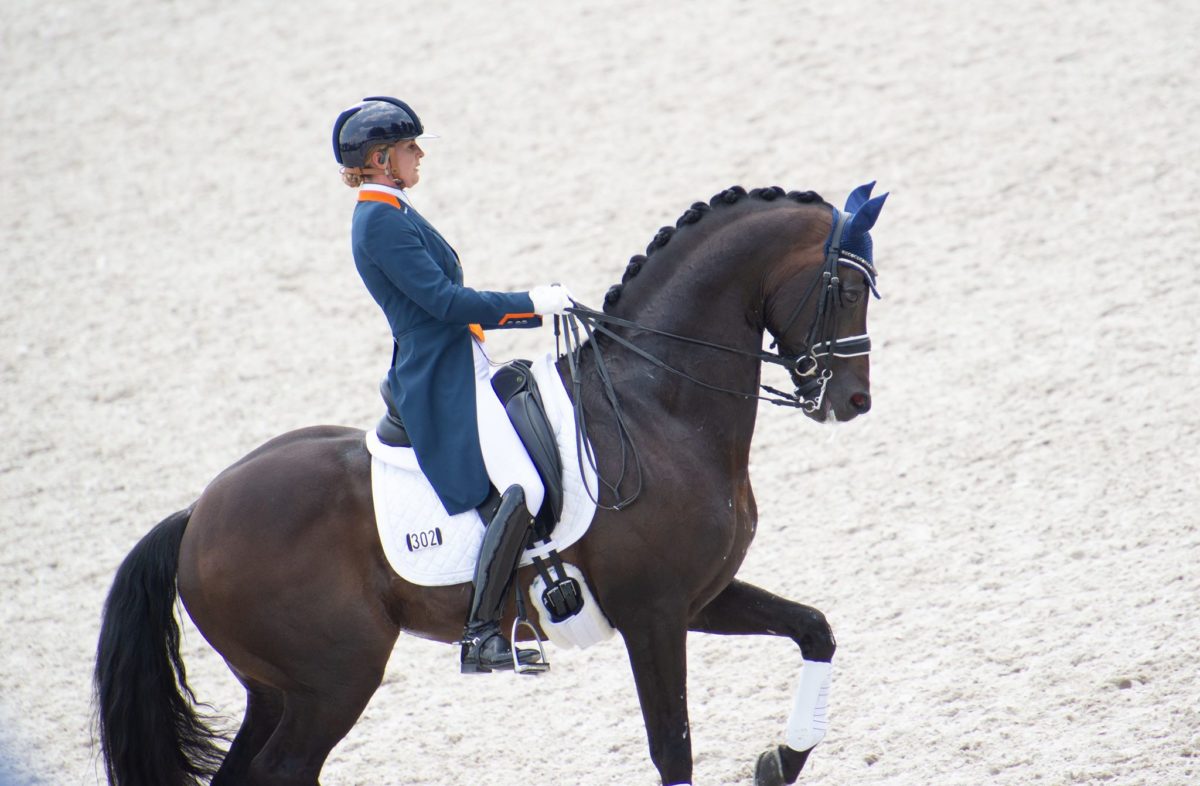 Dutch dressage rider Emmelie Scholtens loses top stallion Apache