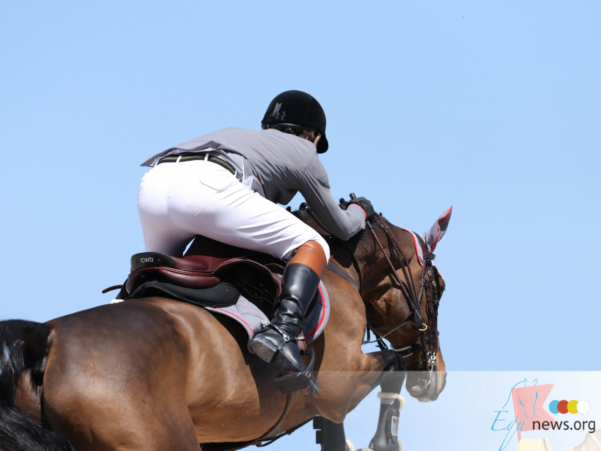 Nederlandse paarden domineren het podium in Mexico