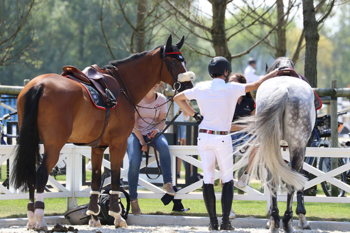ParaPaard Corona Noodfonds zorgt voor 40.000 euro steun voor paardensport