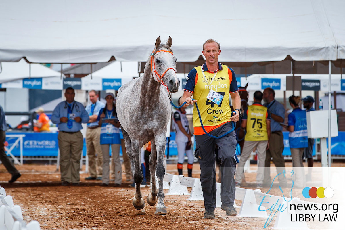 Tryon: Endurance paard geëuthanaseerd, 53 paarden opgenomen in kliniek