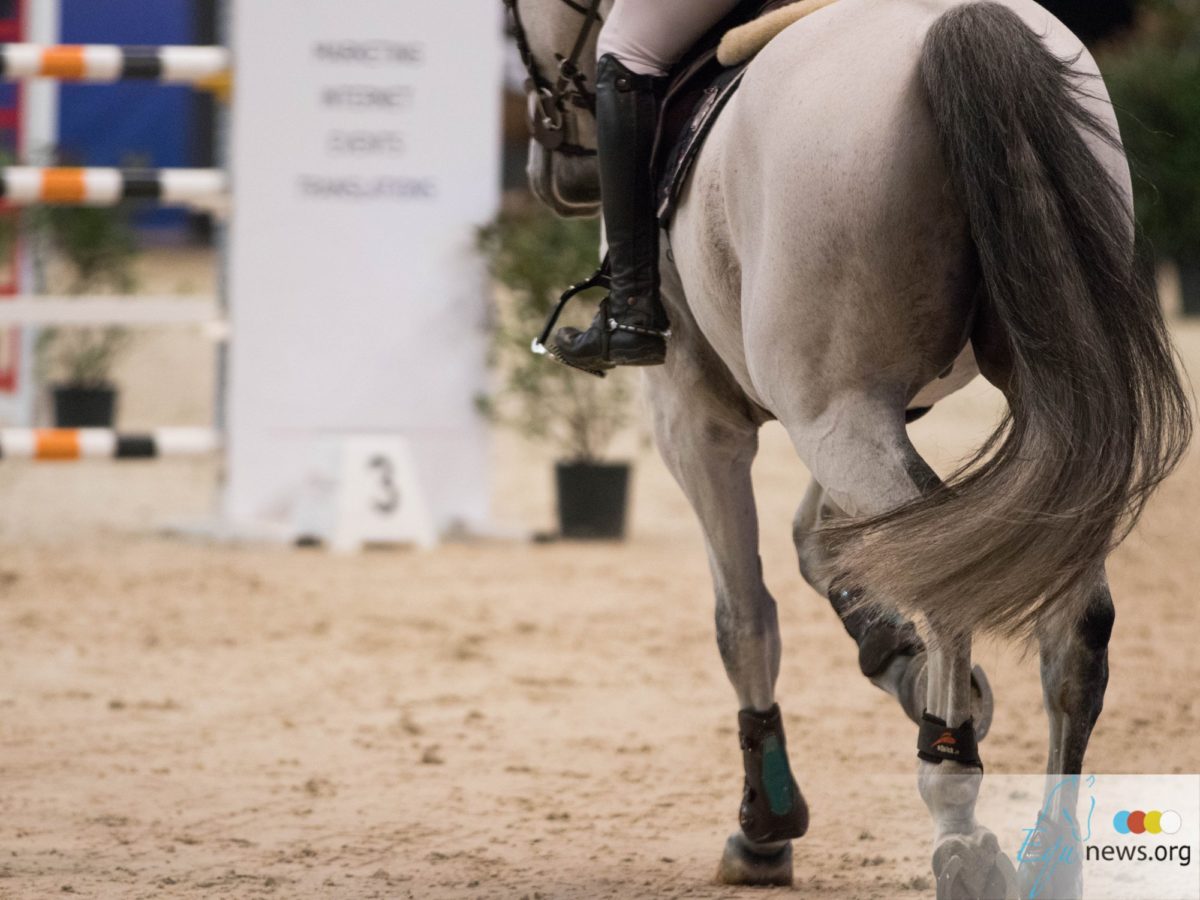 Sheikh Rashid Bin Ahmed Al Maktoum wint met voormalig paard Wendy Scholten