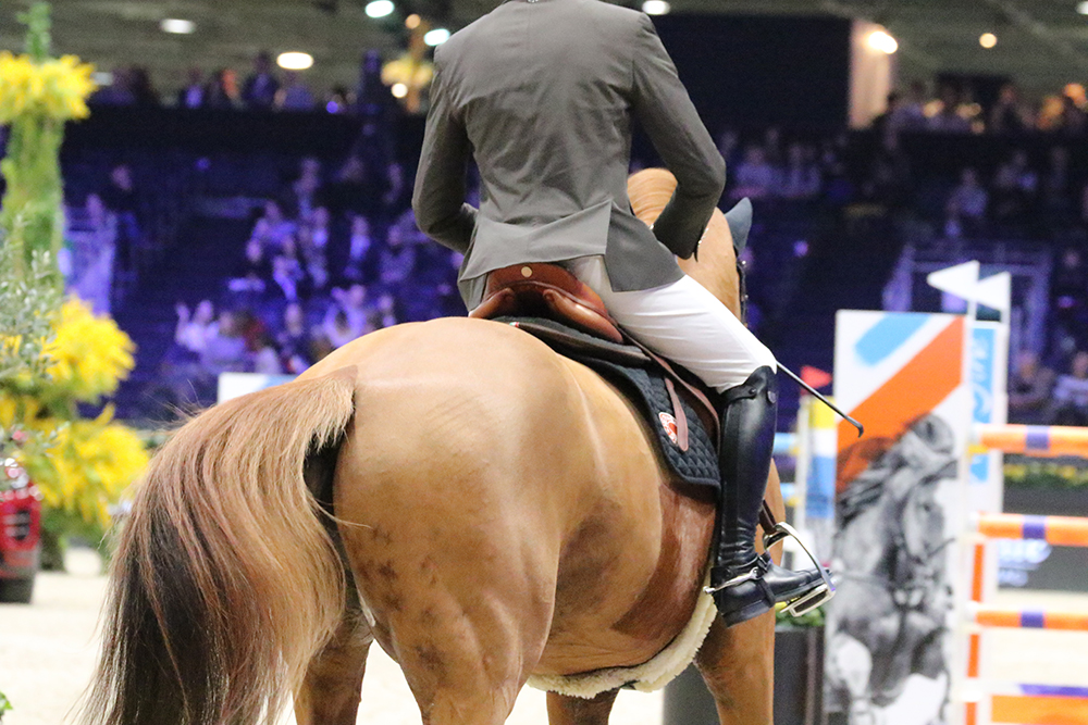 Hester Klompmaker schittert op EDR concours De Dollard