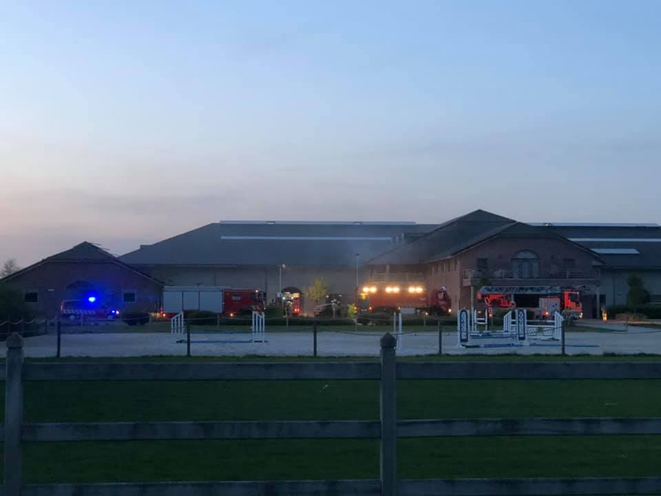 Belgische Studfarm Berghoeve opgeschrokken door brand