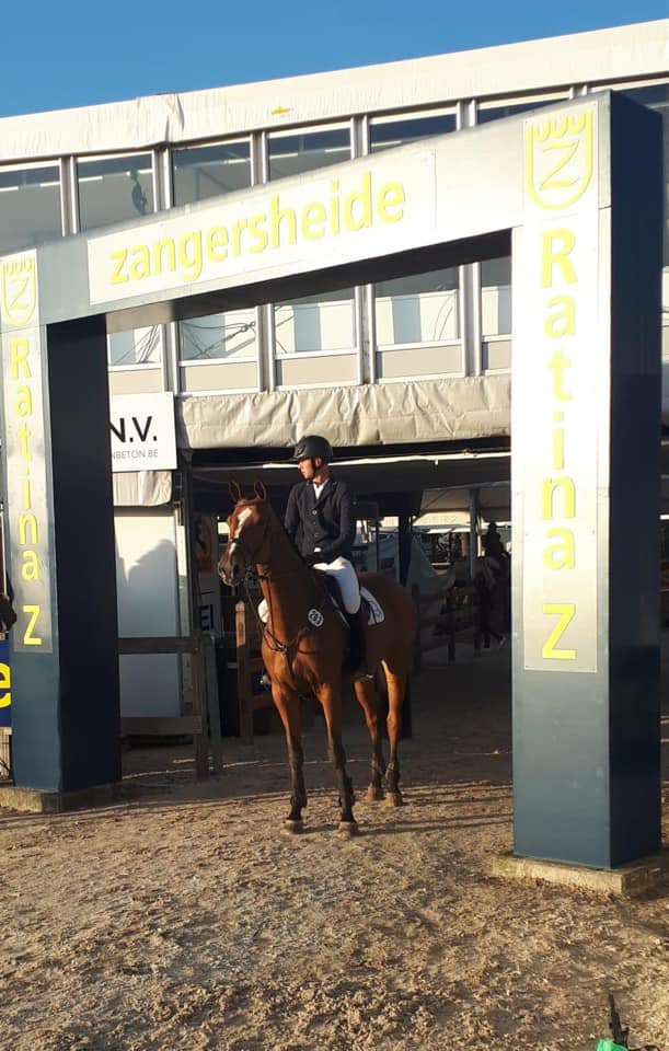 Lansink Sporthorses verkoopt Chakira Z richting Frankrijk