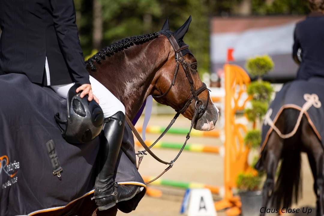 Willem Greve makes it phenomenal home-win in Rotterdam's main class