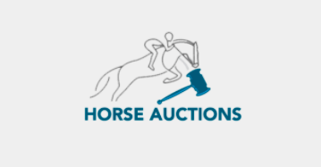 All Horse Auctions: alle paardenveilingen op een rijtje
