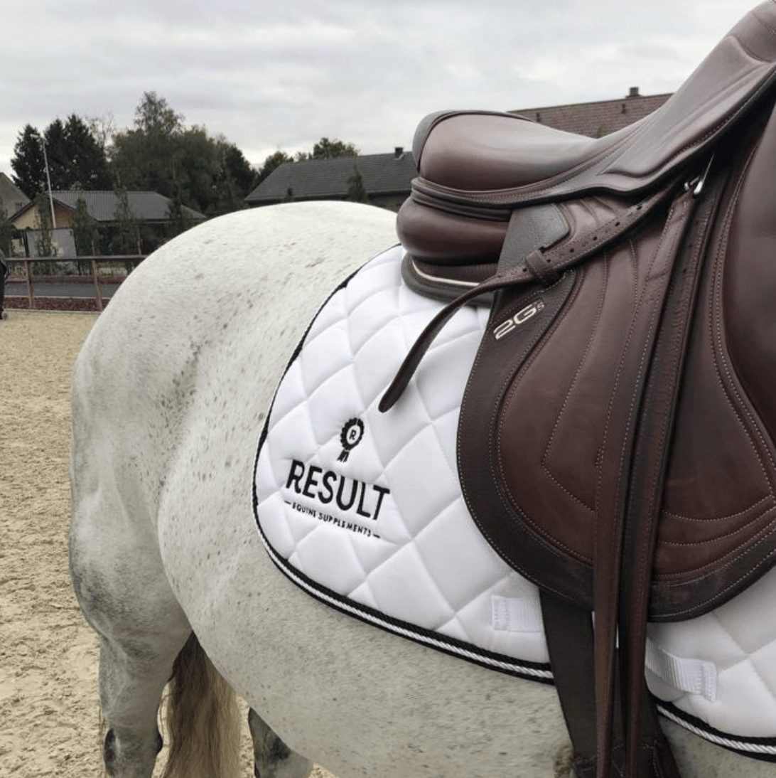 consumptie een miljoen syndroom Geef je paard een opkikkertje met R-Immunity van Result Equine - Equnews  Nederland