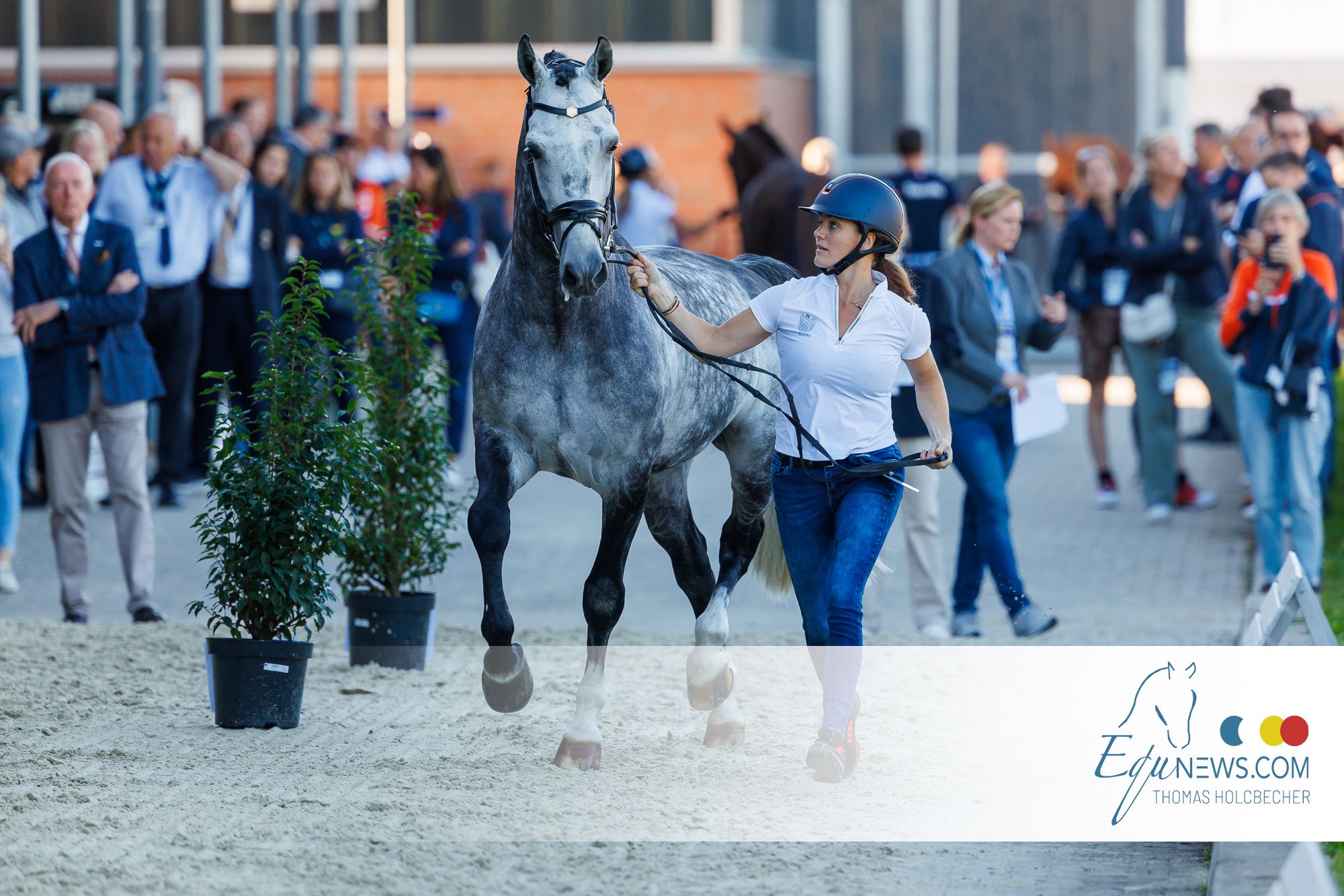 Alle Nederlandse paarden doorstaan vet check op het EK (Para) Dressuur van Riesenbeck