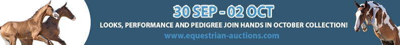 advertise banner